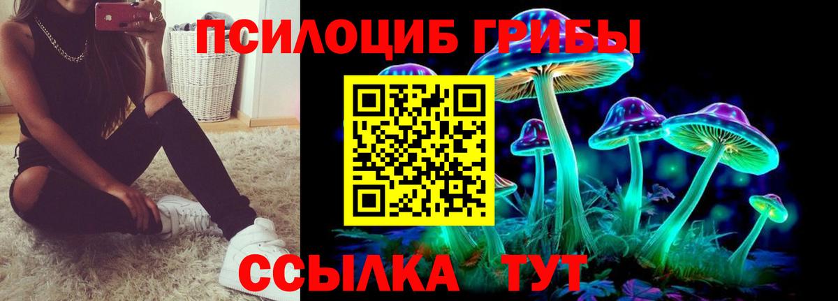 Асино  закладка  Вход с VPN  Галлюциногенные грибы мицелий 