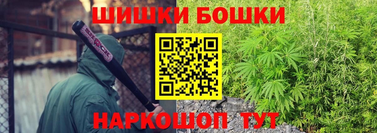 МАРИХУАНА сатива Асино